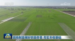 因地农田冬管夯实丰收根本