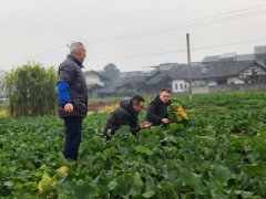 桐梓:冬管不断歇勤护促