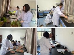 鄂尔多斯市农牧局开展冬季农做物种子企