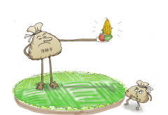 山西农人培育100多年留住中国“种子芯片