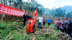 “负担”变身“绿色财富”