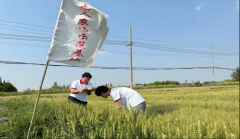 泰州学院航空植保喷雾手艺帮力农业绿色